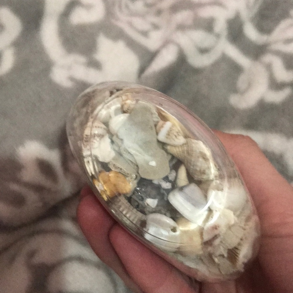 Shell filled jar - Picture 3 of 4